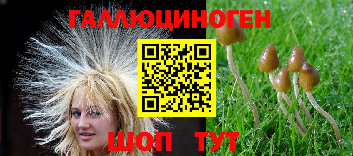 Псилоцибиновые грибы прущие грибы Магнитогорск